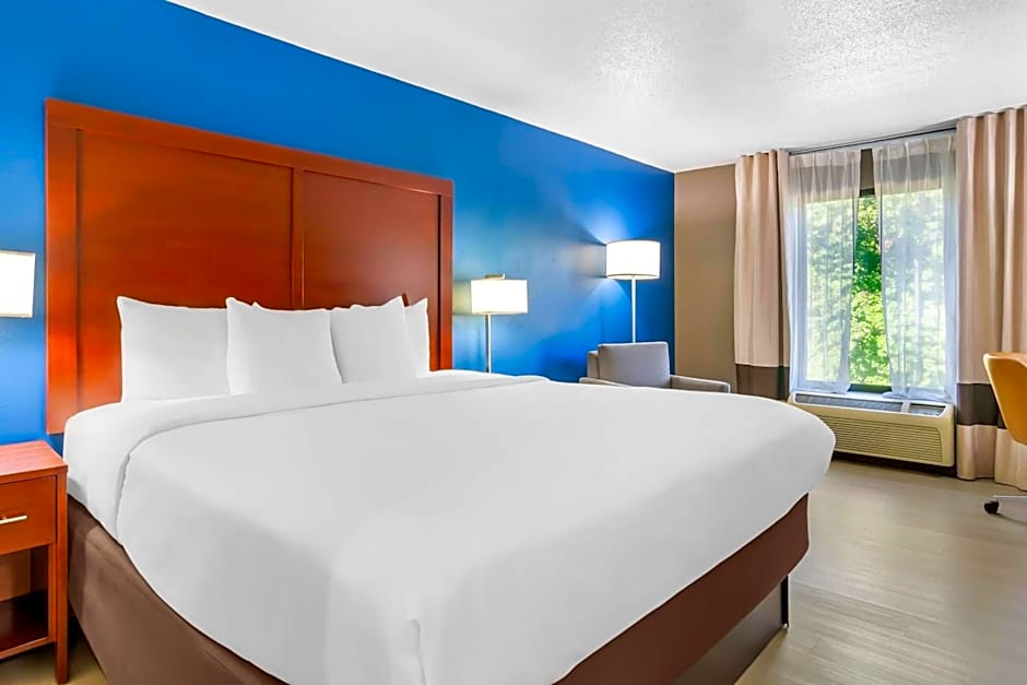 Comfort Inn Greenville - Haywood Mall