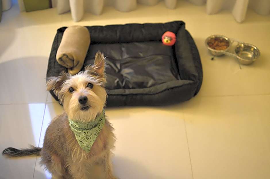 eSuites Savassi Toscanini