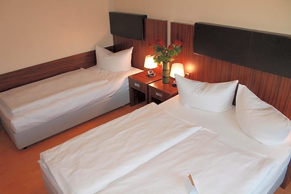 City Hotel Mercator