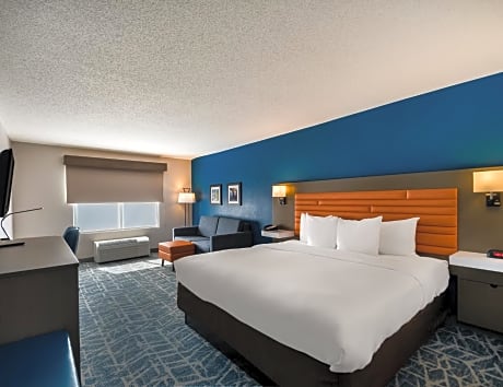 Comfort Inn Arlington Boulevard