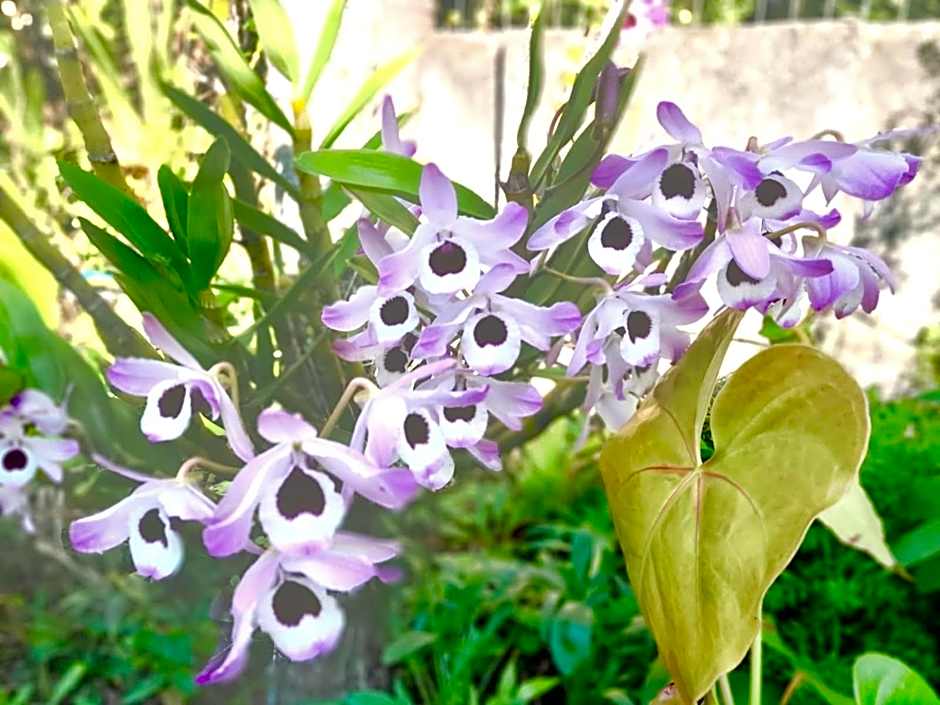 Recanto das Bromélias Chalés