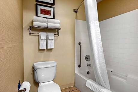 Standard Room, 1 King Bed, Non-Smoking