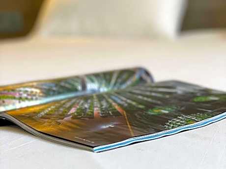 Comfort Suite with One Double Bed