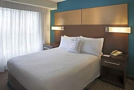 Suite, 1 Bedroom (1 Queen Bed and 1 Double Sofa Bed)