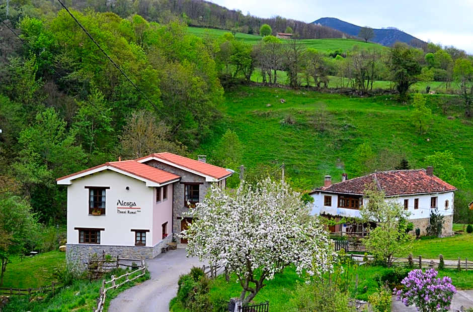 Alesga Hotel Rural - Valles del Oso -Asturias