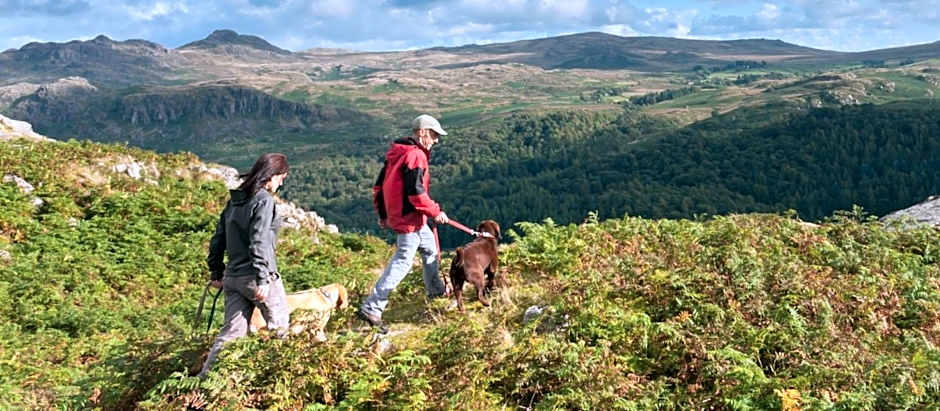 Entire Venue with Accommodation Sleeps up to 19 - Waterfall Country Escape Wales