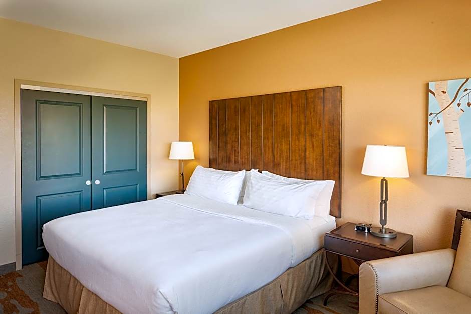Holiday Inn San Antonio SeaWorld by IHG