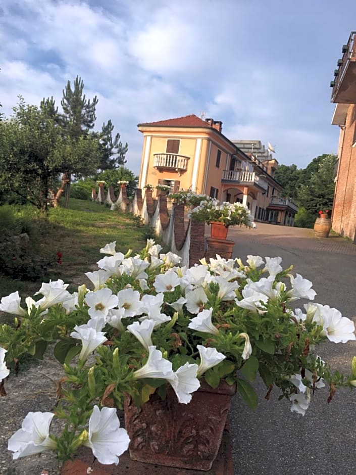 Rossella alla Villarella dei Tulipani