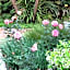 Maison Chablis Guest House