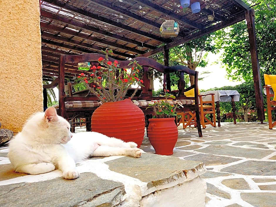 Vagia Beach Apartments, Aegina Island