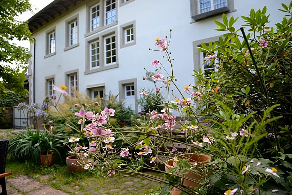 Alte Apotheke Bed & Breakfast