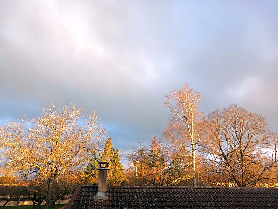 Relais de la Mothe LA SUITE