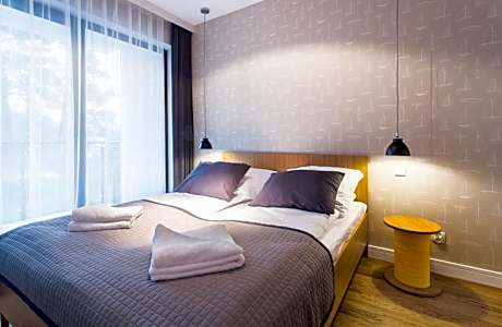 One-Bedroom Apartment with Sofa Bed