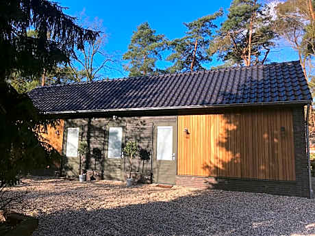 ForRest Suites