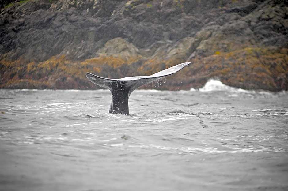 Canadian Princess Lodge & Marina