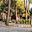 Porton Nature Hideouts