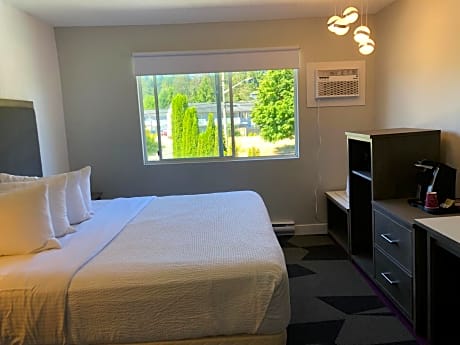 Room with 1 King Bed - Garden view