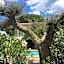 Villa La Begude - Boutique B&B