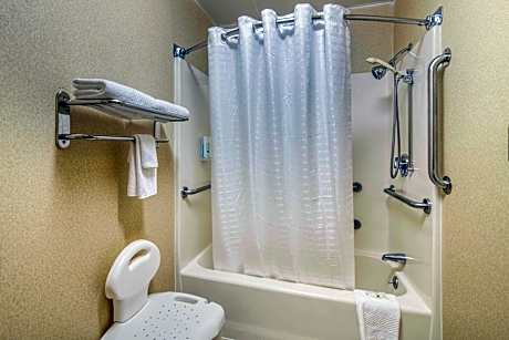 1 Queen Bed, Nonsmoking, Accessible