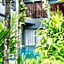 The Umbrella House