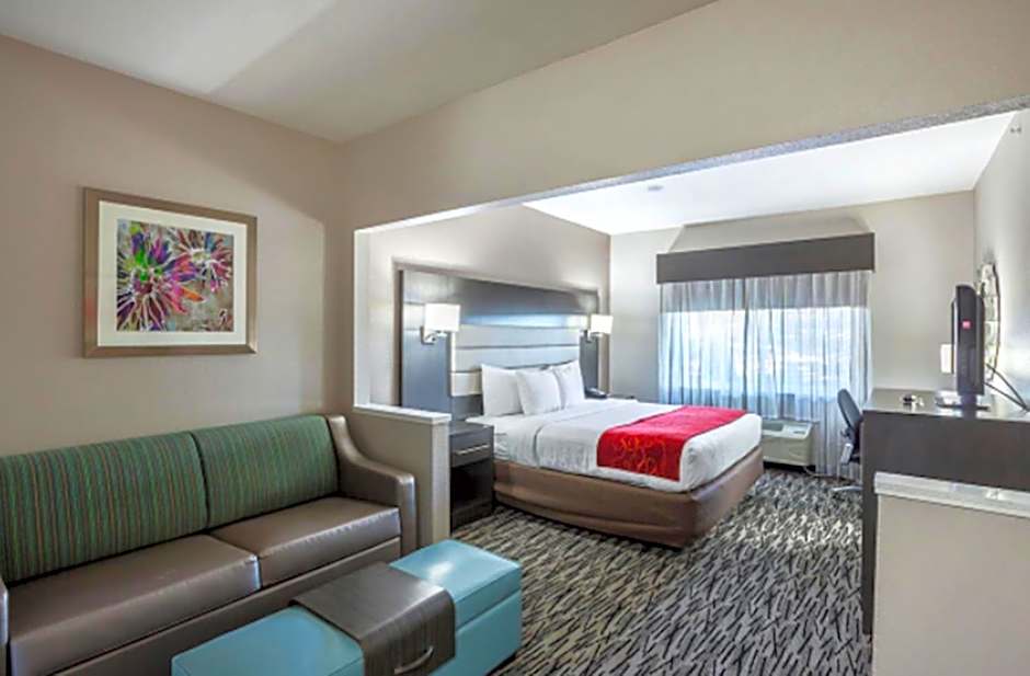 Comfort Suites Lewisville - Dallas