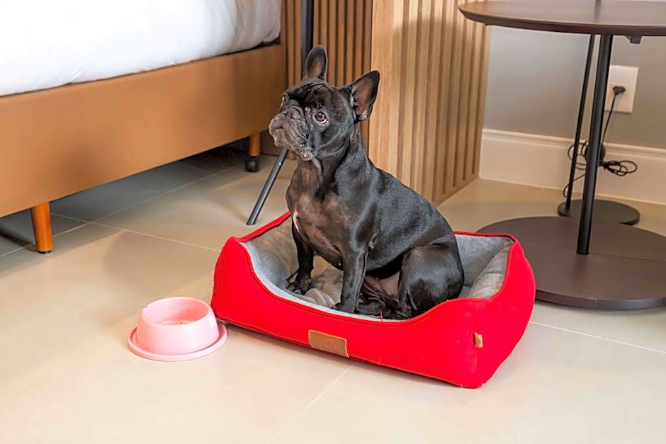 Hilton Garden Inn Sao Jose Do Rio Preto