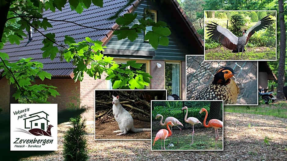 Vakantiepark Zevenbergen