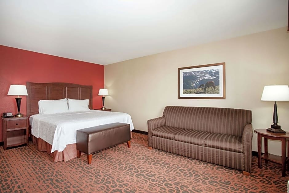 Hampton Inn By Hilton And Suites Denver/South-Ridgegate, Co