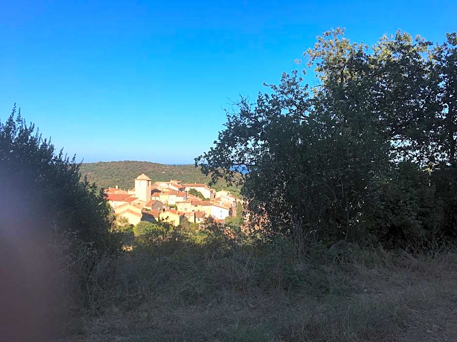 Clos des Vignes Pampelonne Vineyard