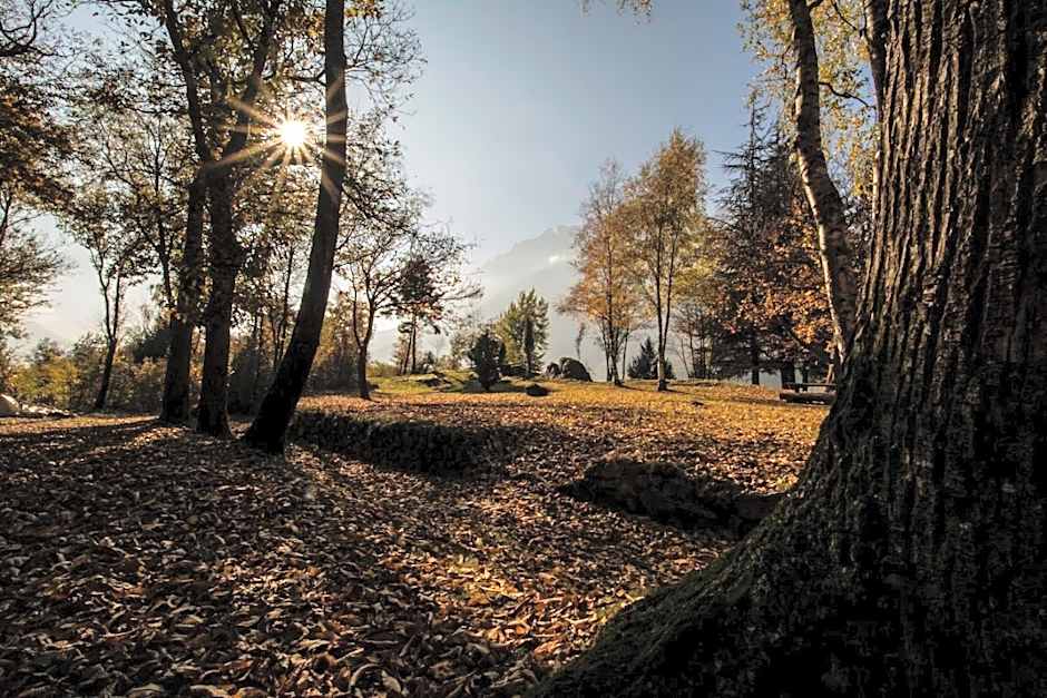 Casa Visnenza Bed & Breakfast