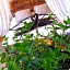Chambre d'hôtes le petit Ranch