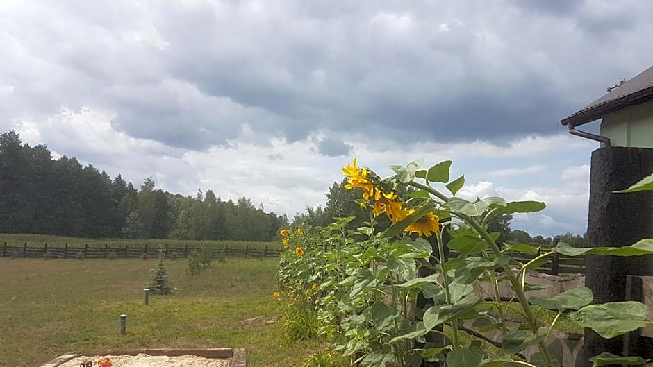Agroturystyka Perła Gaju