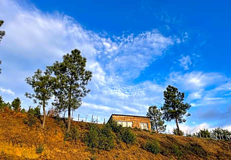 Quinta da Pedrulha