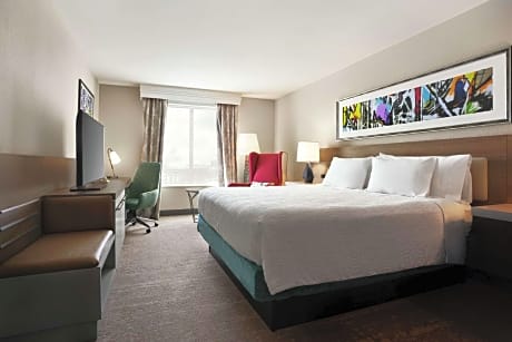 1 King Bed