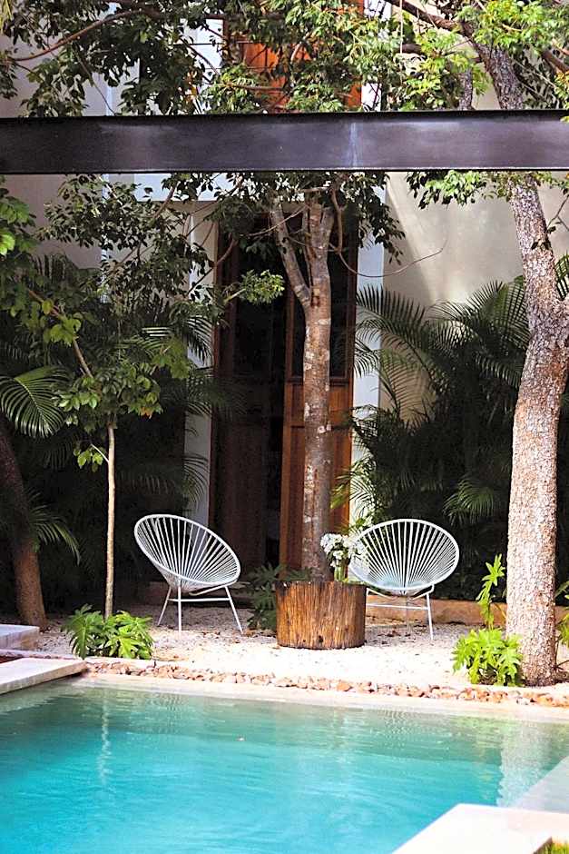 Casa de Las Palomas by Palomas Group
