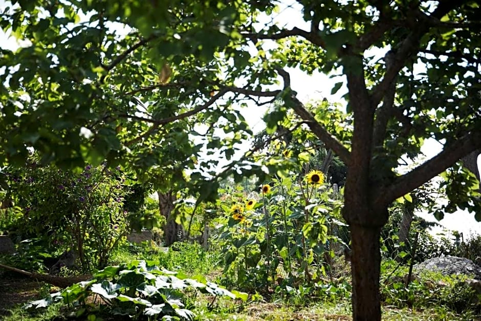 Villa Romano, Anacapri