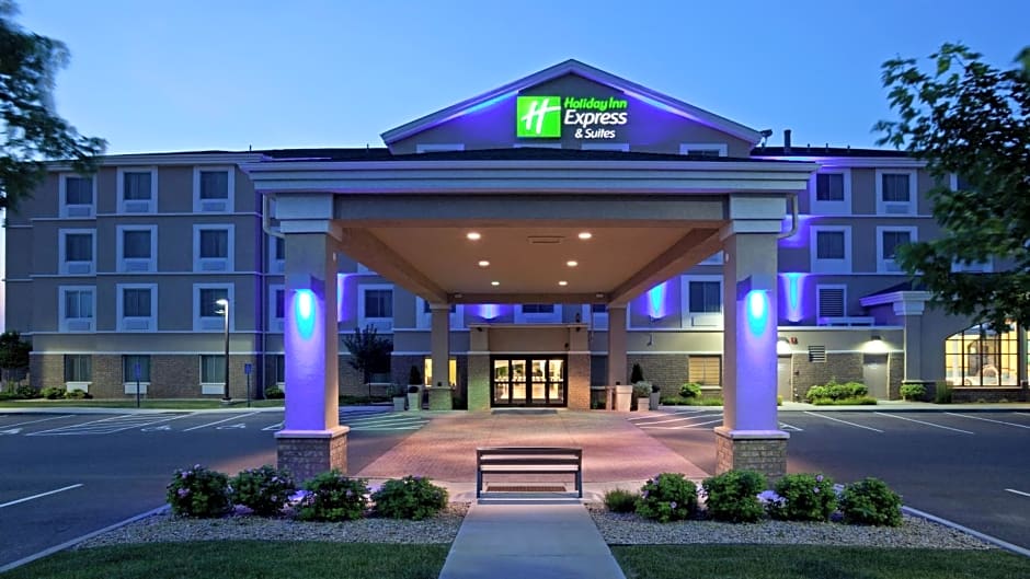 Holiday Inn Express Hotel & Suites Rogers By IHG