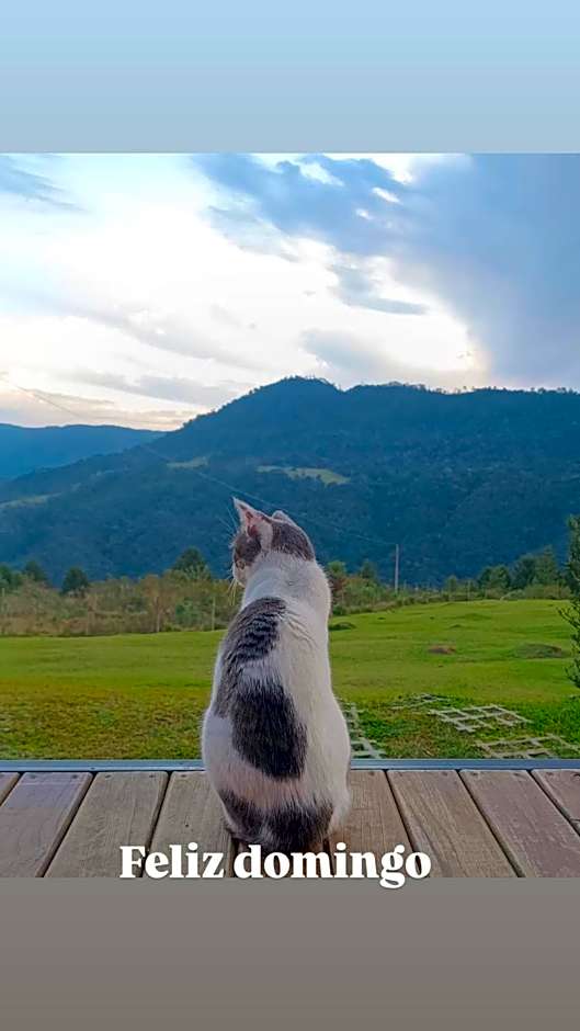 Pousada Colina dos Ventos - Cabana Monte!