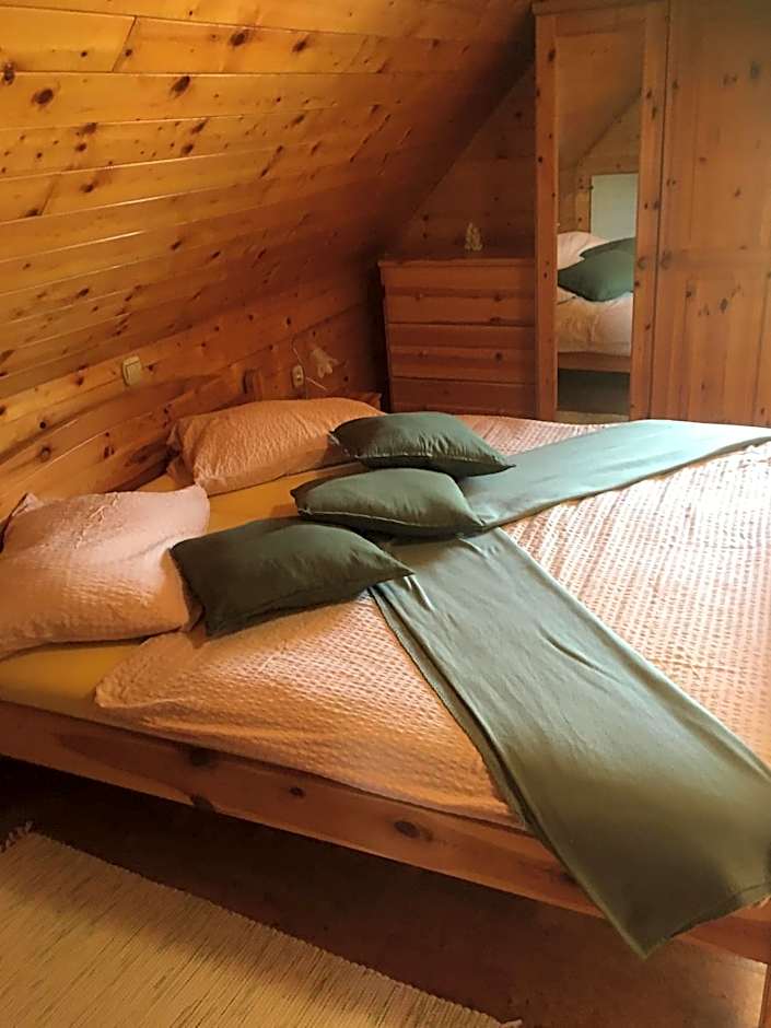 Korošec Apartments and Wellness Centre