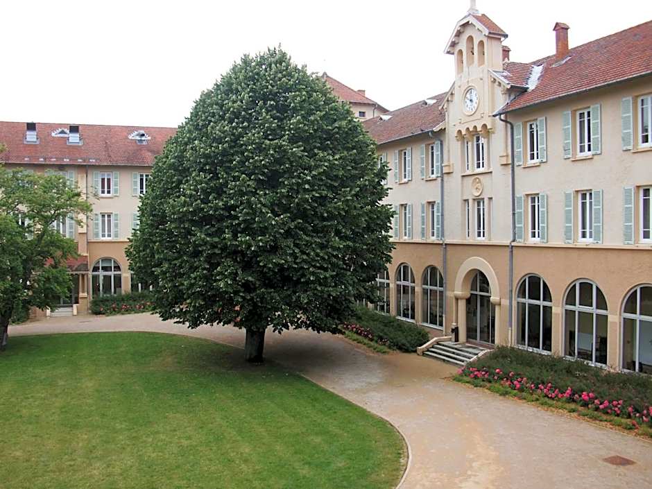 Domaine Lyon Saint Joseph