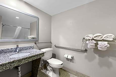 Suite Queen Bed Mobility Access Communication Assistance Bathtub Sofabed Wi-Fi NSMK Full Breakfast