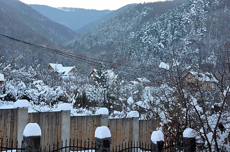 Casa de vacanta Sadu