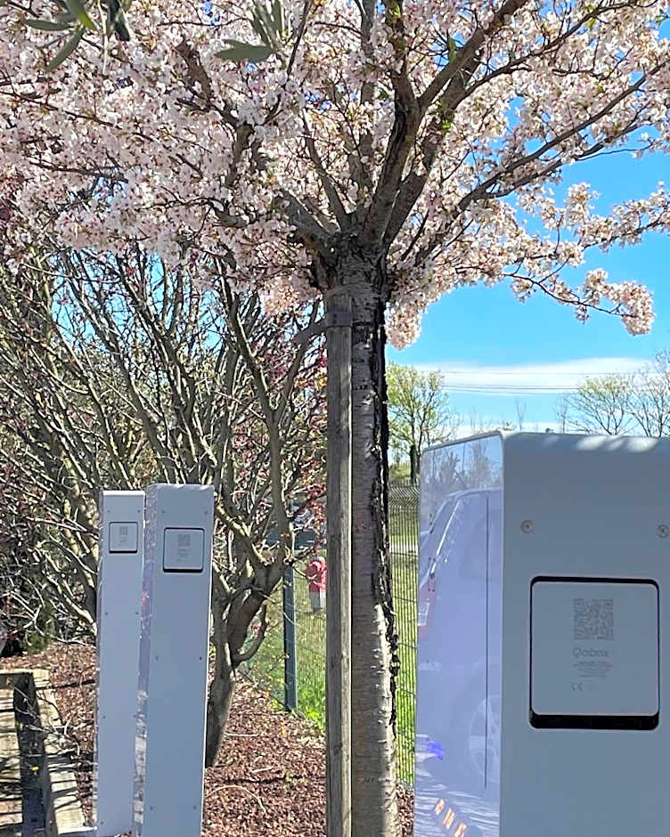 Hôtel Pont Rouge , Carcassonne