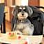 Yutorelo Tateshina Hotel with DOGS