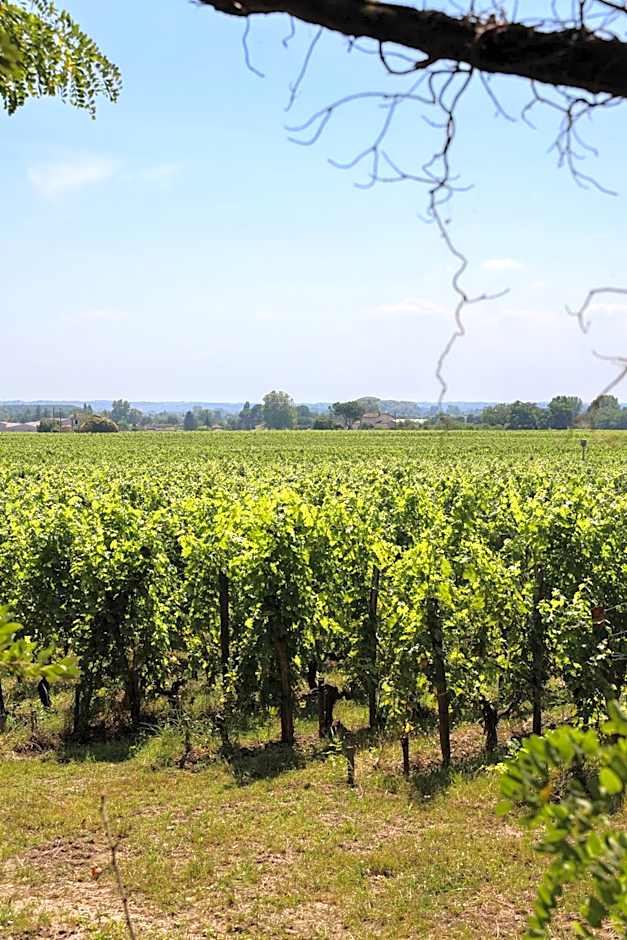 Chateau Hotel Grand Barrail