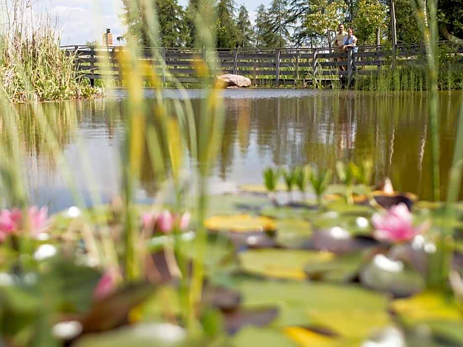 Hotel Restaurant Alber