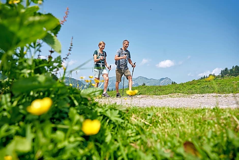 Schedlers Löwenhotel-GARNI