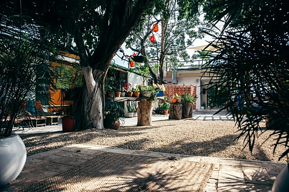 Teetotum hotel