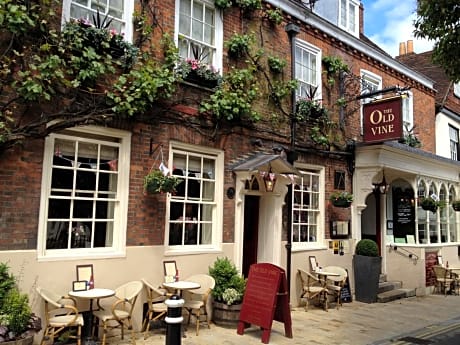 The Old Vine