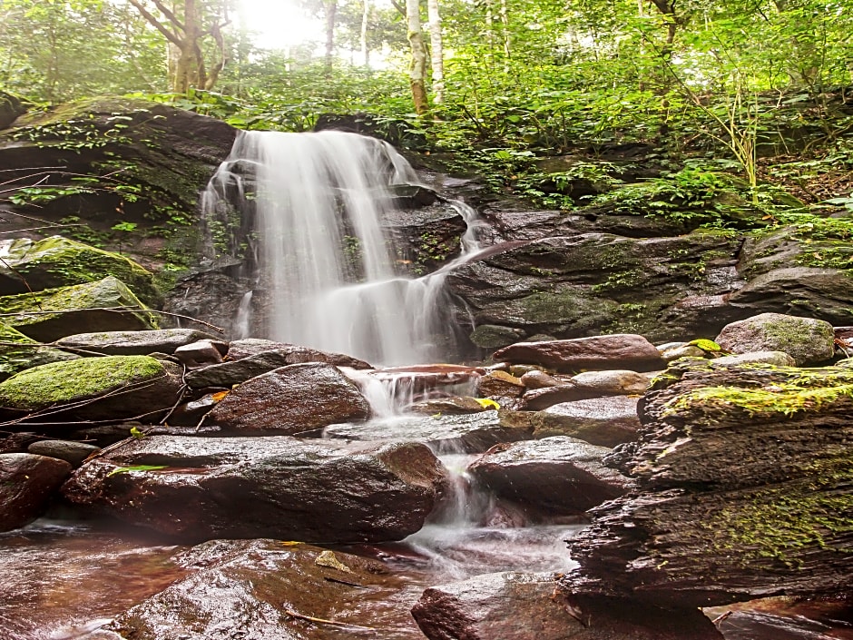OYO 91089 Desa Wisata Air Terjun Way Kalam Syariah